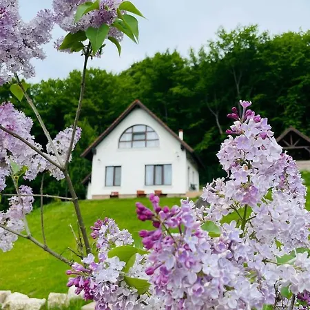 Casuta Boema Holiday home Risnov