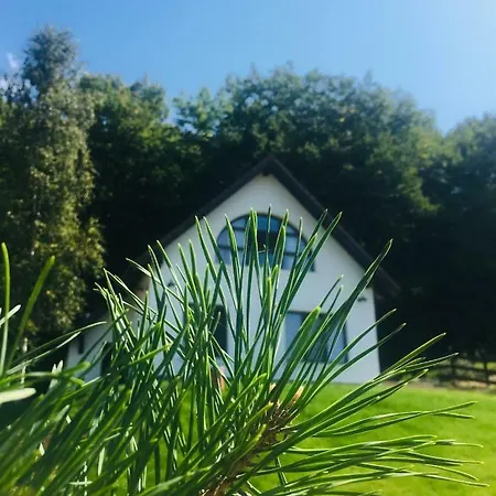Casuta Boema Holiday home Risnov